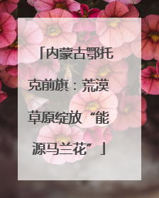 内蒙古鄂托克前旗：荒漠草原绽放“能源马兰花”