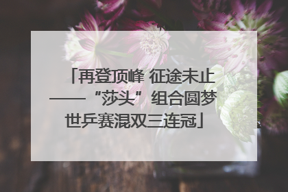 再登顶峰 征途未止——“莎头”组合圆梦世乒赛混双三连冠
