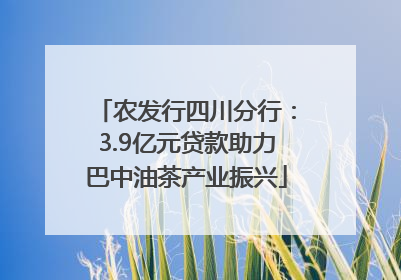 农发行四川分行：3.9亿元贷款助力巴中油茶产业振兴