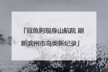 冠鱼狗现身山航院 刷新滨州市鸟类新纪录