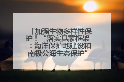 加强生物多样性保护！“落实昆蒙框架：海洋保护地建设和南极公海生态保护”主题论坛将举办
