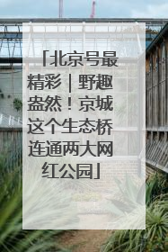 北京号最精彩｜野趣盎然！京城这个生态桥连通两大网红公园