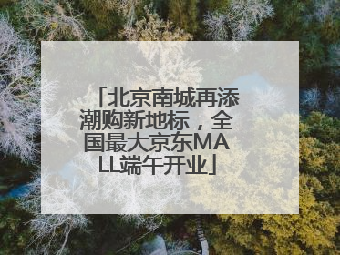 北京南城再添潮购新地标，全国最大京东MALL端午开业
