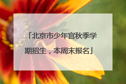 北京市少年宫秋季学期招生，本周末报名