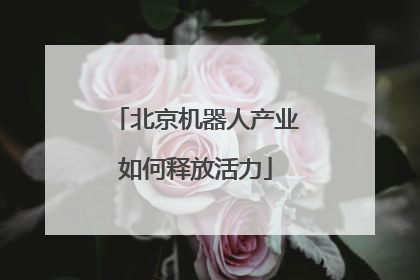 北京机器人产业如何释放活力