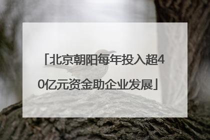 北京朝阳每年投入超40亿元资金助企业发展