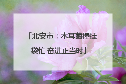 北安市：木耳菌棒挂袋忙 奋进正当时