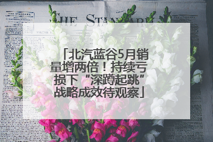 北汽蓝谷5月销量增两倍！持续亏损下“深蹲起跳”战略成效待观察