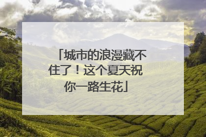 城市的浪漫藏不住了！这个夏天祝你一路生花