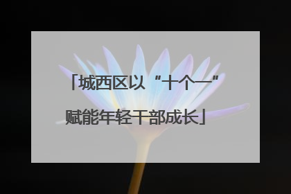 城西区以“十个一”赋能年轻干部成长