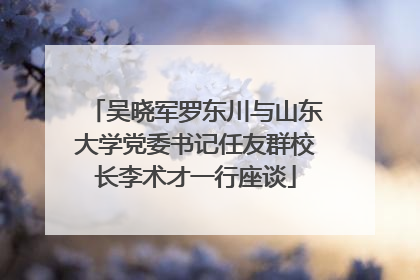 吴晓军罗东川与山东大学党委书记任友群校长李术才一行座谈