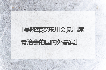 吴晓军罗东川会见出席青洽会的国内外嘉宾