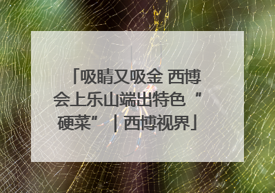 吸睛又吸金 西博会上乐山端出特色“硬菜”｜西博视界