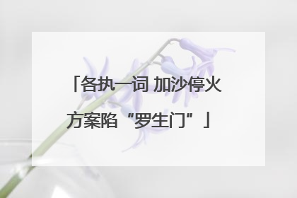 各执一词 加沙停火方案陷“罗生门”