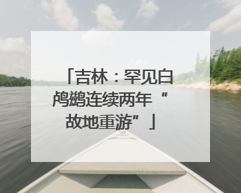 吉林：罕见白鸬鹚连续两年“故地重游”