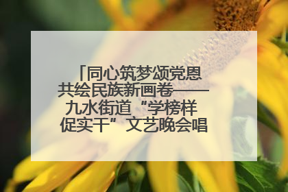同心筑梦颂党恩 共绘民族新画卷——九水街道“学榜样 促实干”文艺晚会唱响民族团结主旋律