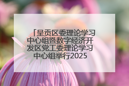 呈贡区委理论学习中心组暨数字经济开发区党工委理论学习中心组举行2025年第七次学习会议