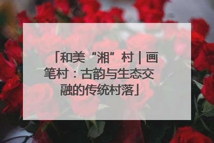 和美“湘”村｜画笔村：古韵与生态交融的传统村落
