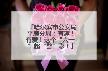 哈尔滨市公安局平房分局：有趣！有爱！这个“六一”超“警”彩！
