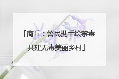 商丘：警民携手绘禁毒 共建无毒美丽乡村