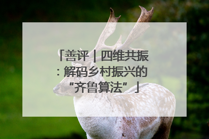 善评｜四维共振：解码乡村振兴的“齐鲁算法”