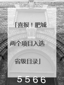喜报！肥城两个项目入选省级目录