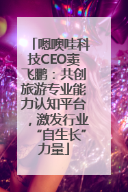嗯噢哇科技CEO窦飞鹏：共创旅游专业能力认知平台，激发行业“自生长”力量