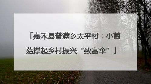嘉禾县普满乡太平村：小菌菇撑起乡村振兴“致富伞”