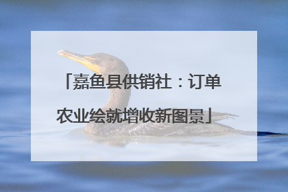 嘉鱼县供销社：订单农业绘就增收新图景