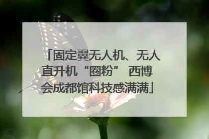 固定翼无人机、无人直升机“圈粉” 西博会成都馆科技感满满