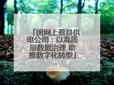 国网上蔡县供电公司：以高质量数据治理 助推数字化转型