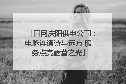 国网庆阳供电公司：电脉连通诗与远方 服务点亮露营之光