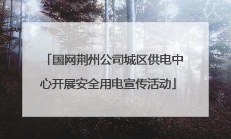国网荆州公司城区供电中心开展安全用电宣传活动