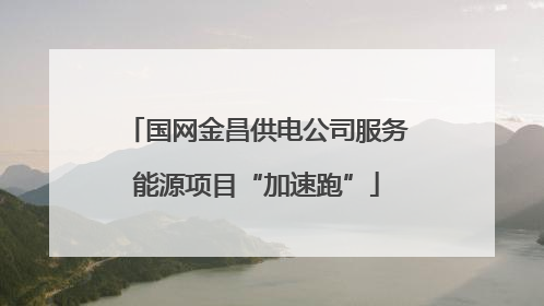 国网金昌供电公司服务能源项目“加速跑”