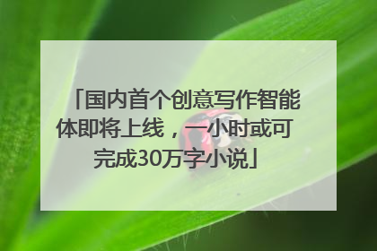 国内首个创意写作智能体即将上线，一小时或可完成30万字小说
