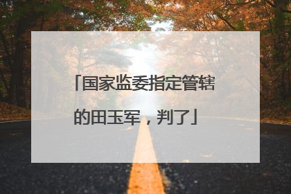 国家监委指定管辖的田玉军，判了