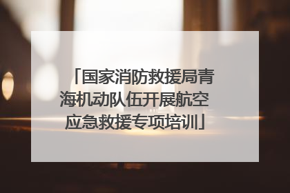 国家消防救援局青海机动队伍开展航空应急救援专项培训