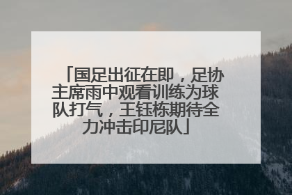 国足出征在即，足协主席雨中观看训练为球队打气，王钰栋期待全力冲击印尼队