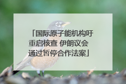 国际原子能机构吁重启核查 伊朗议会通过暂停合作法案