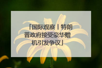 国际观察丨特朗普政府接受豪华赠机引发争议