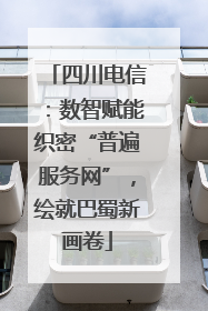 四川电信：数智赋能织密“普遍服务网”，绘就巴蜀新画卷