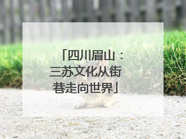四川眉山：三苏文化从街巷走向世界
