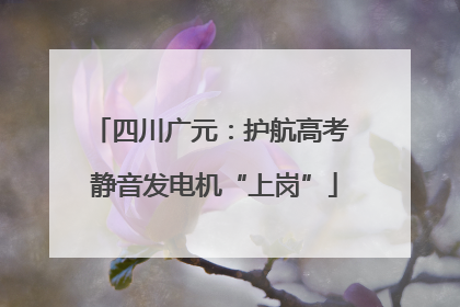 四川广元：护航高考 静音发电机“上岗”