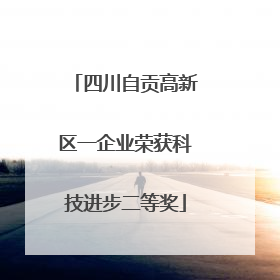 四川自贡高新区一企业荣获科技进步二等奖