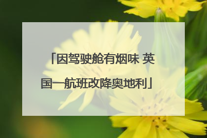 因驾驶舱有烟味 英国一航班改降奥地利