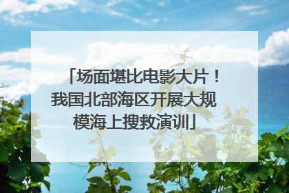 场面堪比电影大片！我国北部海区开展大规模海上搜救演训