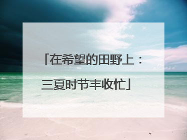 在希望的田野上：三夏时节丰收忙