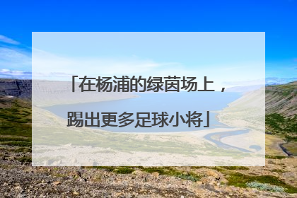 在杨浦的绿茵场上，踢出更多足球小将