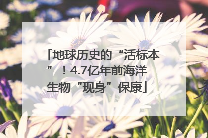 地球历史的“活标本”！4.7亿年前海洋生物“现身”保康