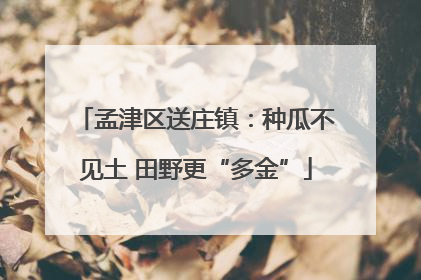 孟津区送庄镇：种瓜不见土 田野更“多金”